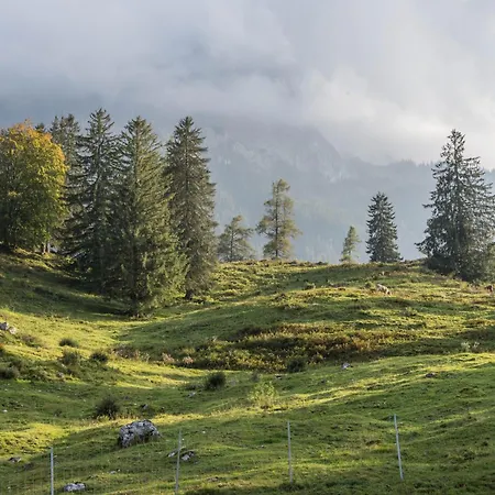 Weiss Apartment Mittenwald