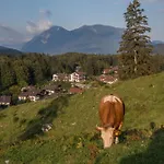 Apartamento Weiss Mittenwald