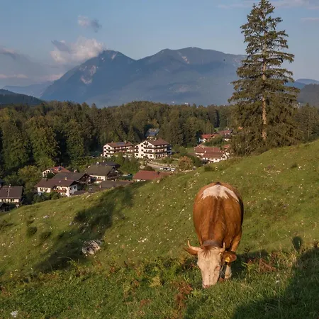 Apartment Weiß Mittenwald