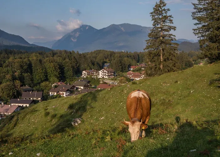 Lejlighed Weiss Mittenwald